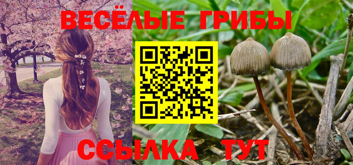 Галлюциногенные грибы мухоморы Славянск-на-Кубани
