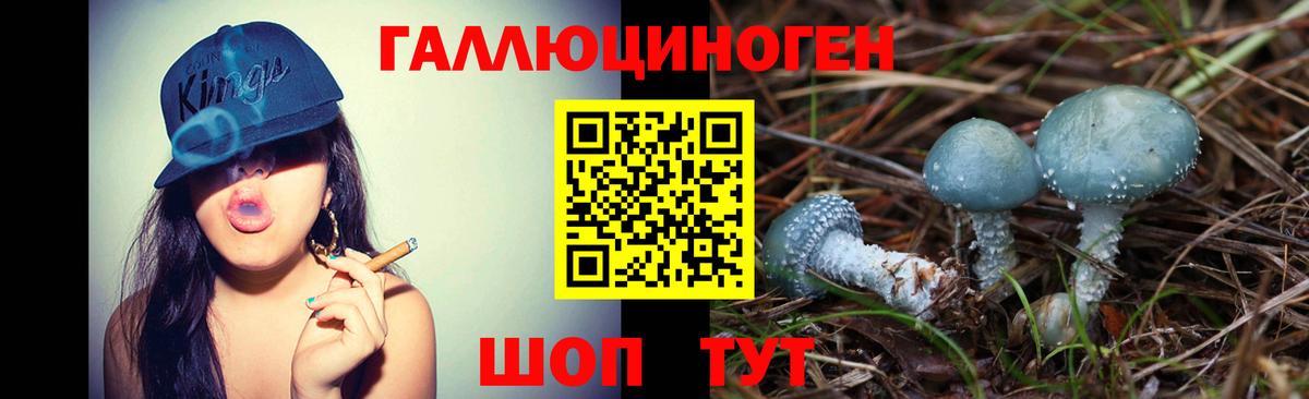 Псилоцибиновые грибы прущие грибы  Галлюциногенные грибы GOLDEN TEACHER  Вход с VPN  Славянск-на-Кубани 